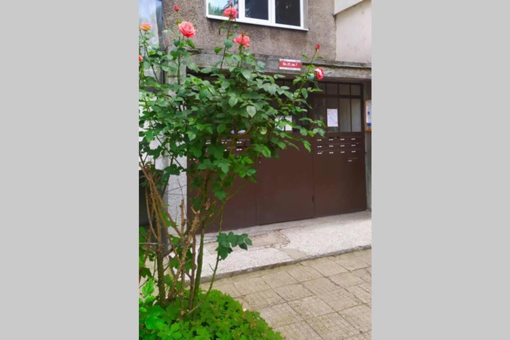 Lovely City Center 1Bd, 1Bt Apartment Sófia Exterior foto
